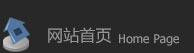 网站首页